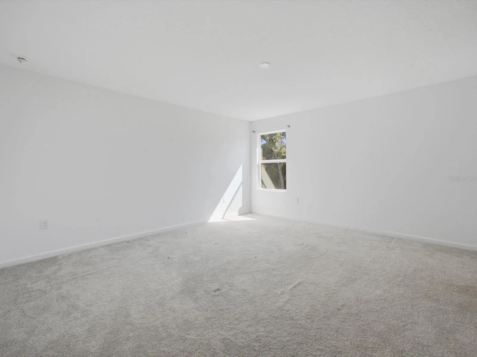 1287 BLUE ASH LN