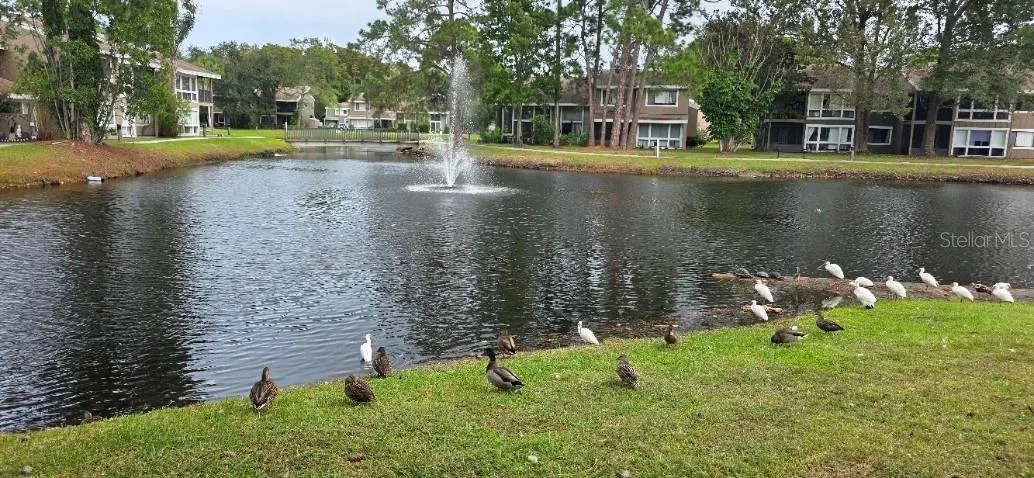5979 WINDHOVER DR #7A #7A