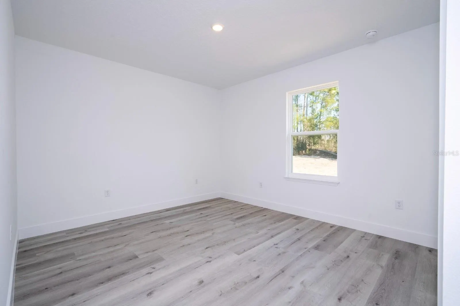 3803 BREWSTER RD