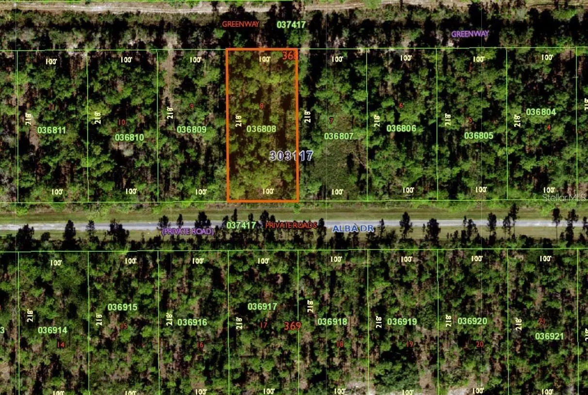 316 ALBA DR