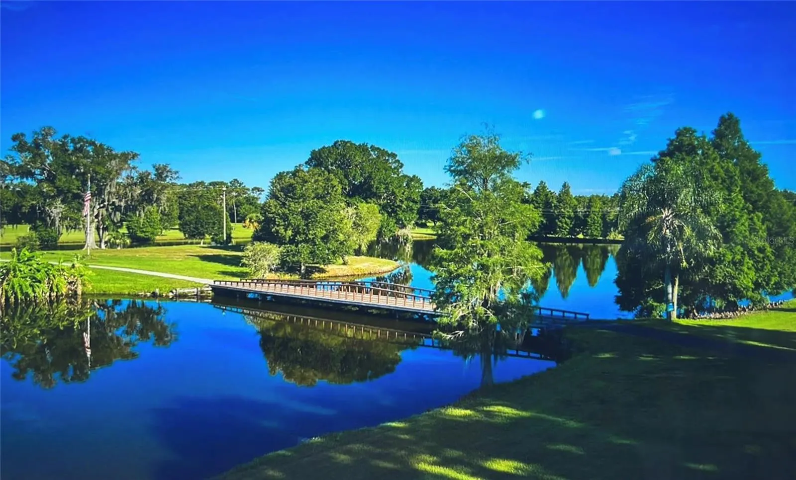 316 ALBA DR