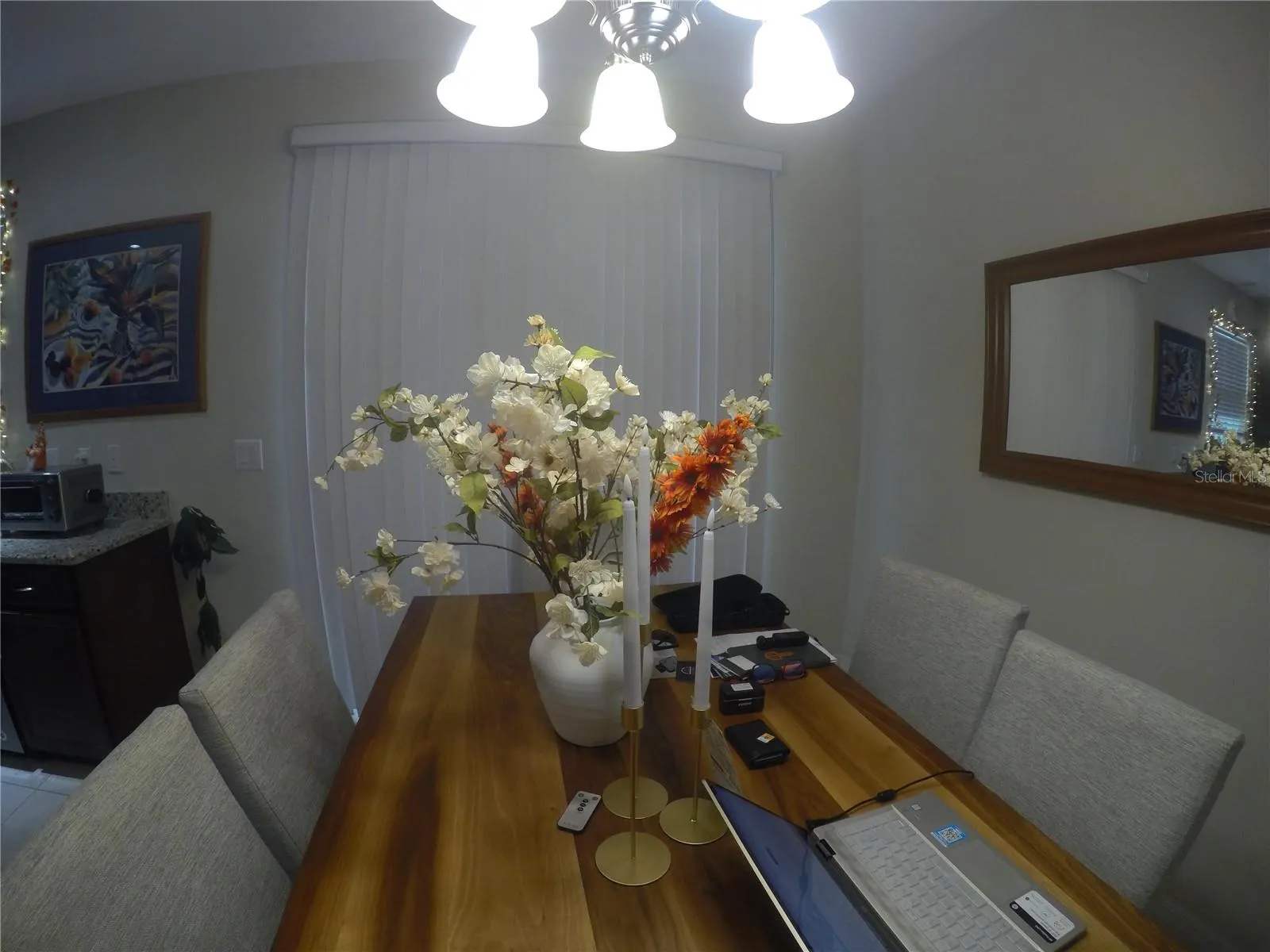 1320 MIRABELLA CIR