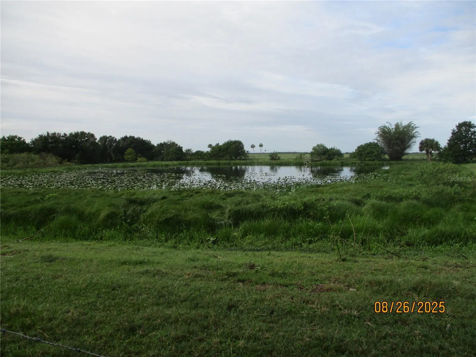 12305 US HIGHWAY 98 N