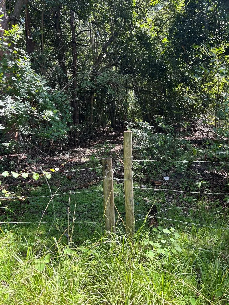 AHINGA RD