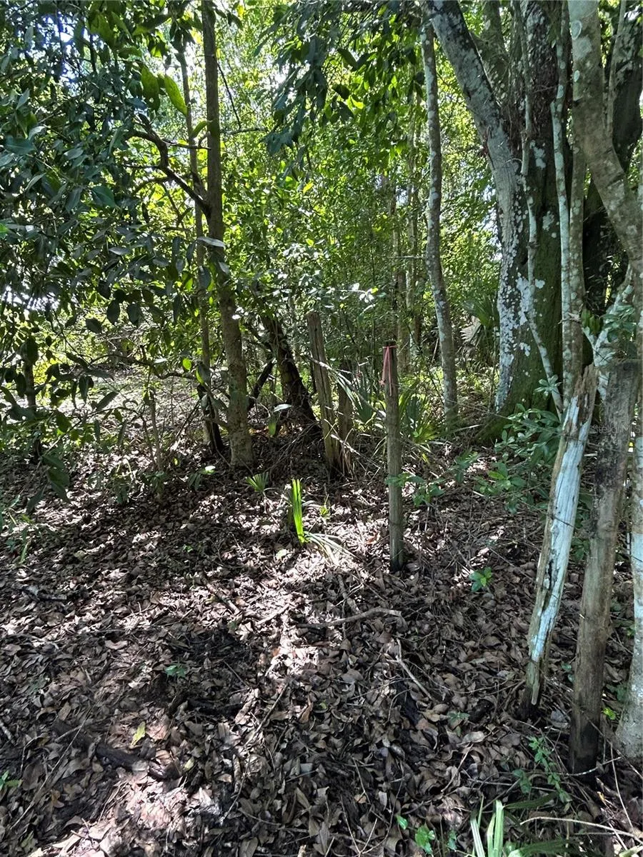 AHINGA RD