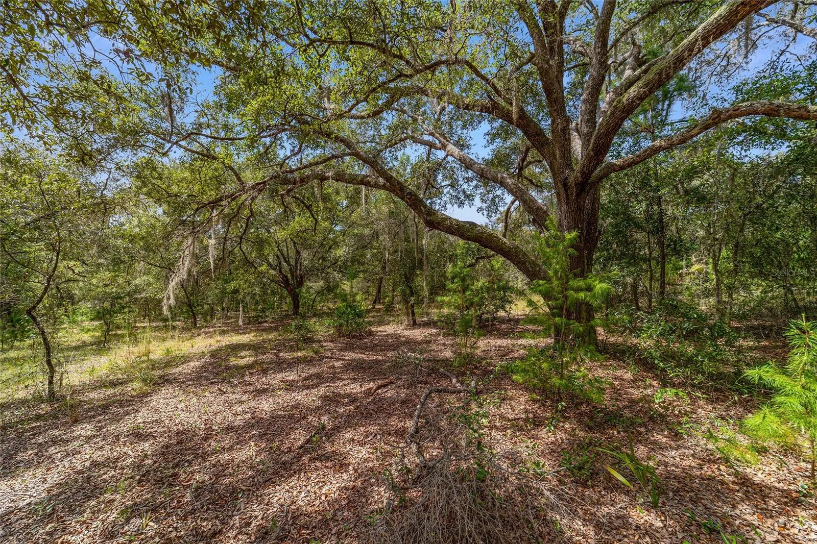 TBD SW WINDING HILLS RD