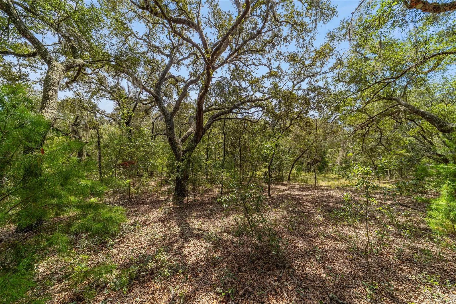 TBD SW WINDING HILLS RD