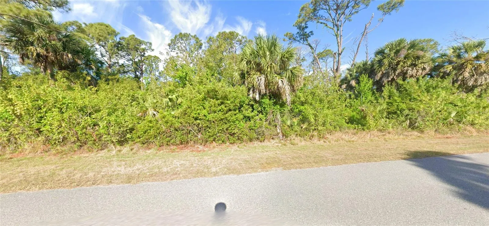 325 MCDILL DR
