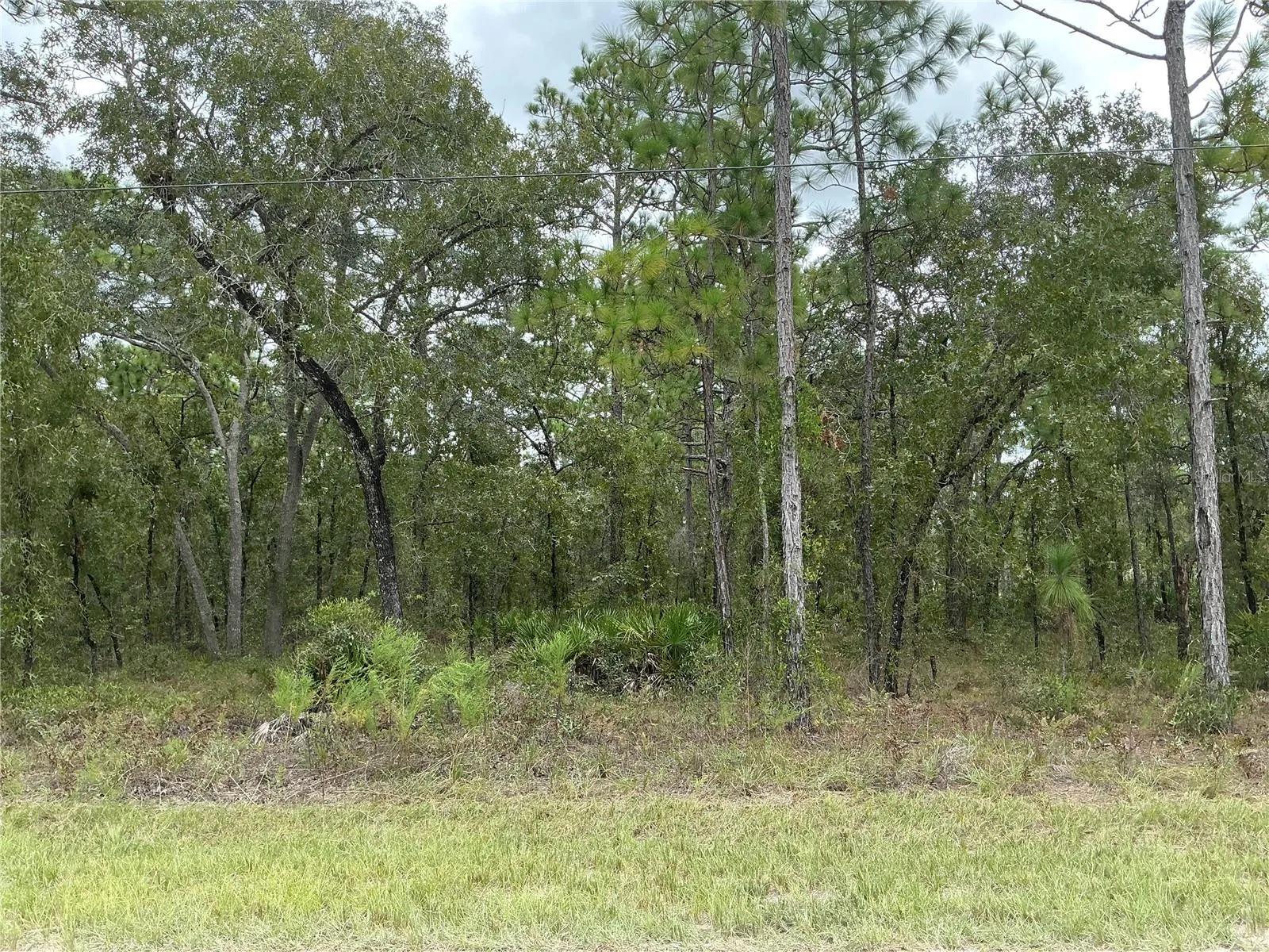 16118 MARSH QUAIL RD