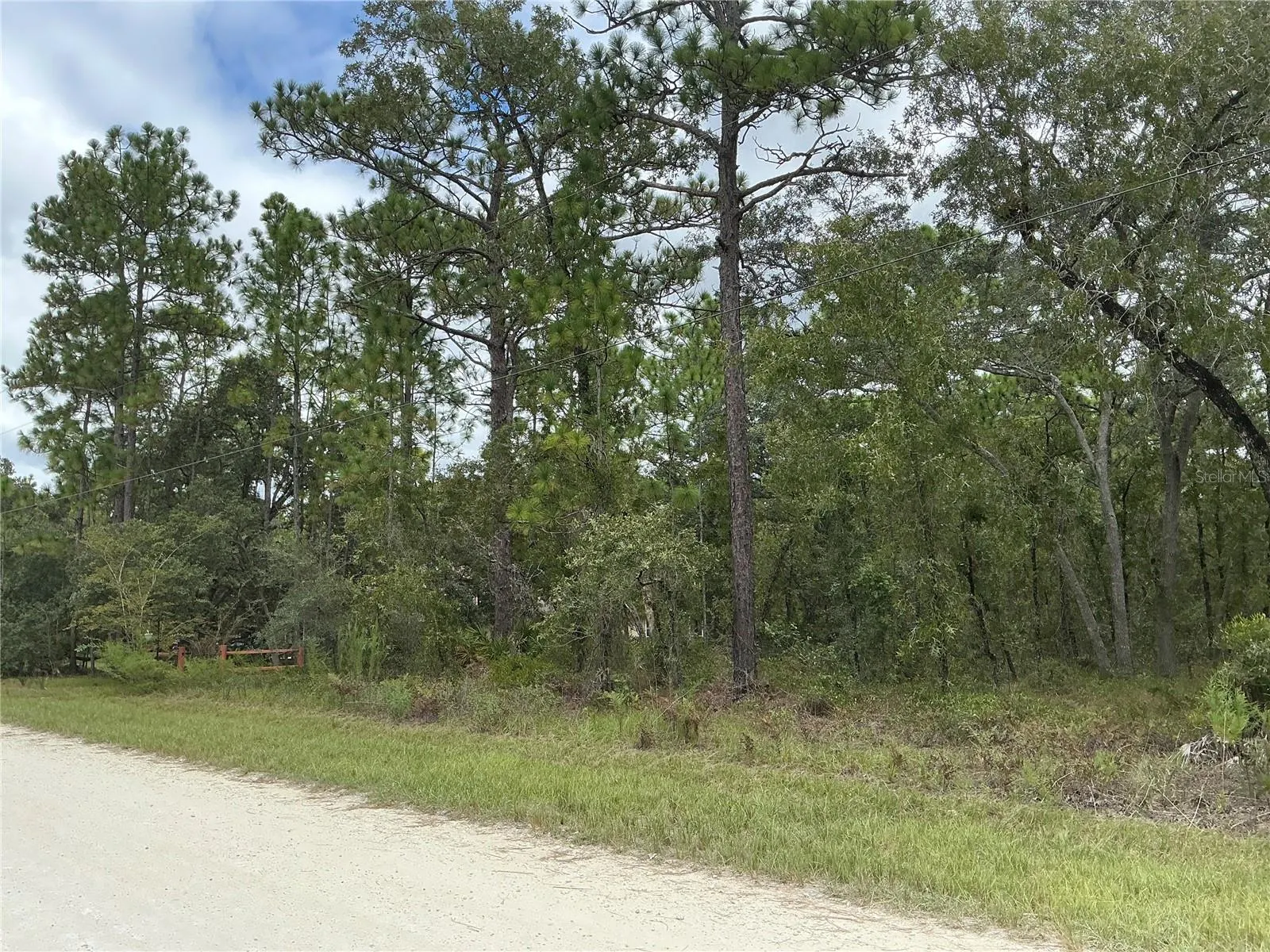 16118 MARSH QUAIL RD