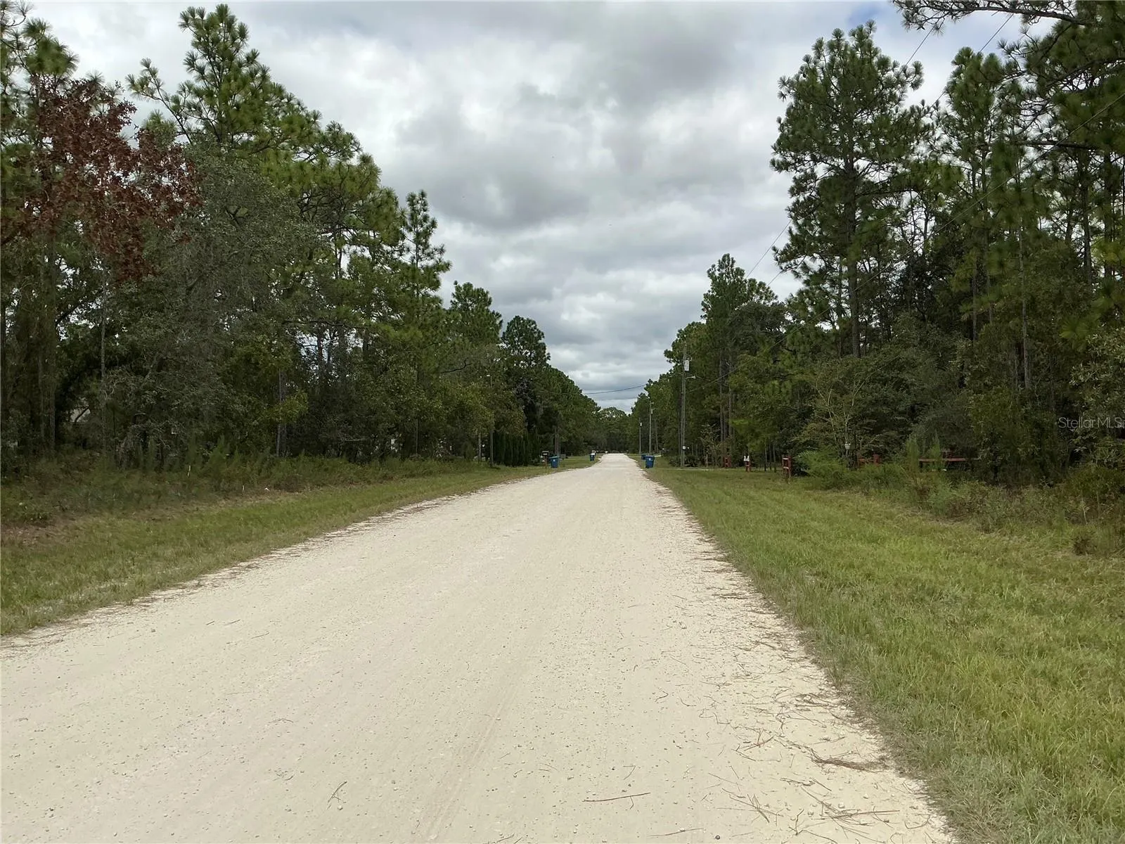 16118 MARSH QUAIL RD