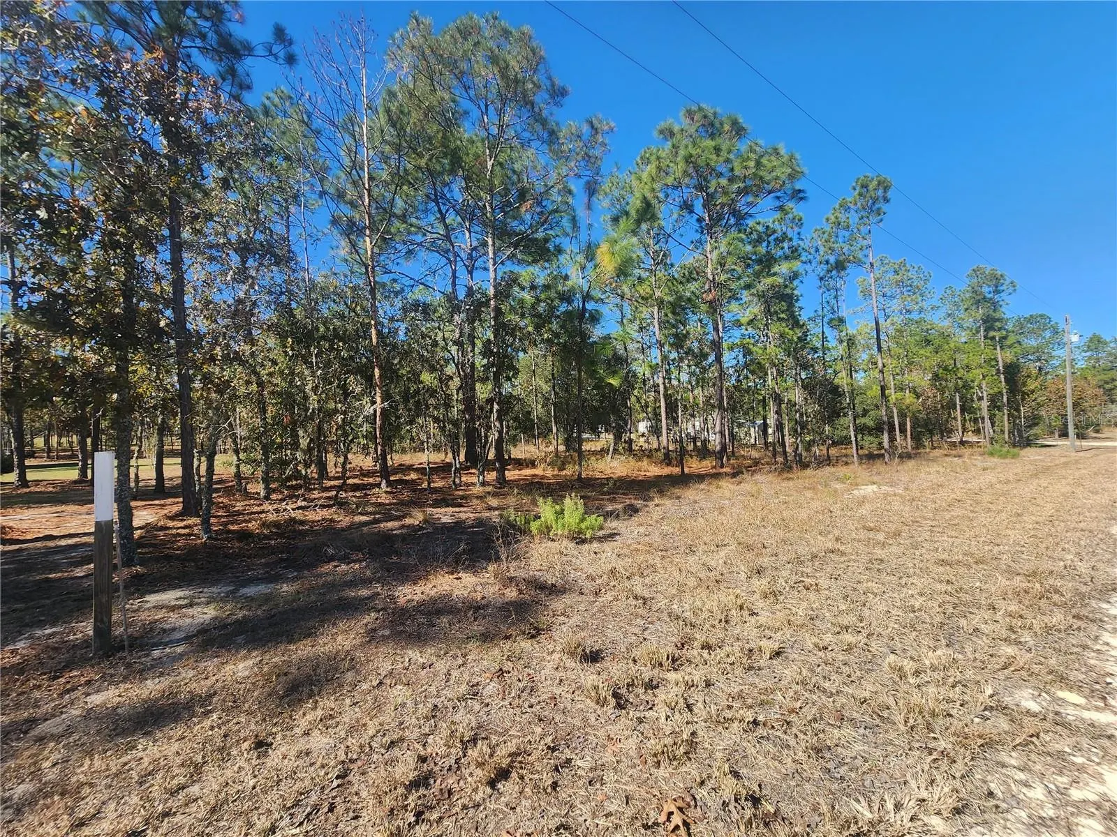 421 AVENIDA DEL SUR