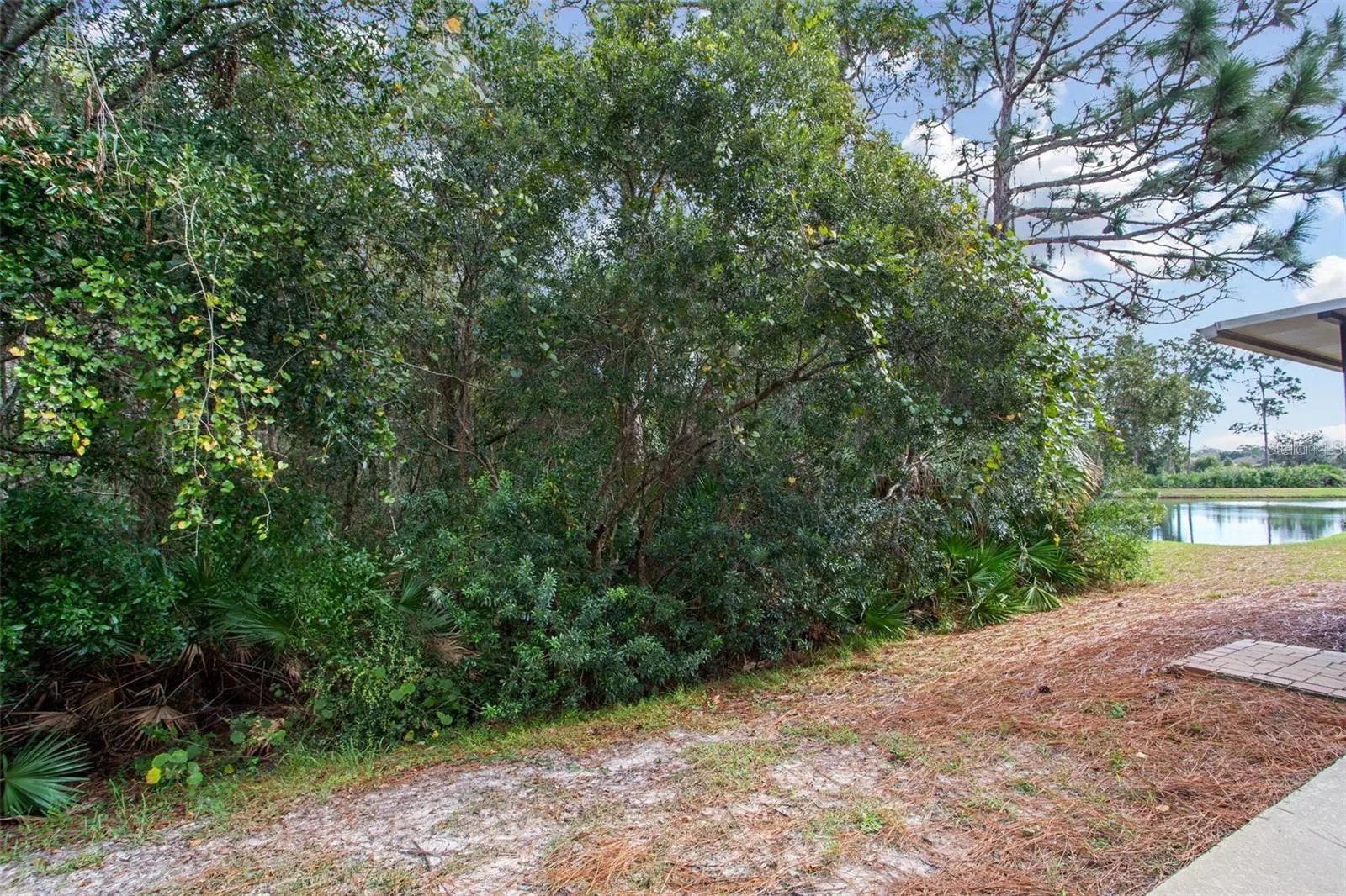 20217 INDIAN ROSEWOOD DR