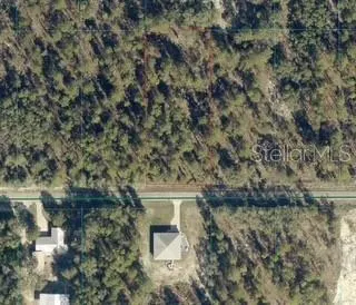 PONY RIDGE DR