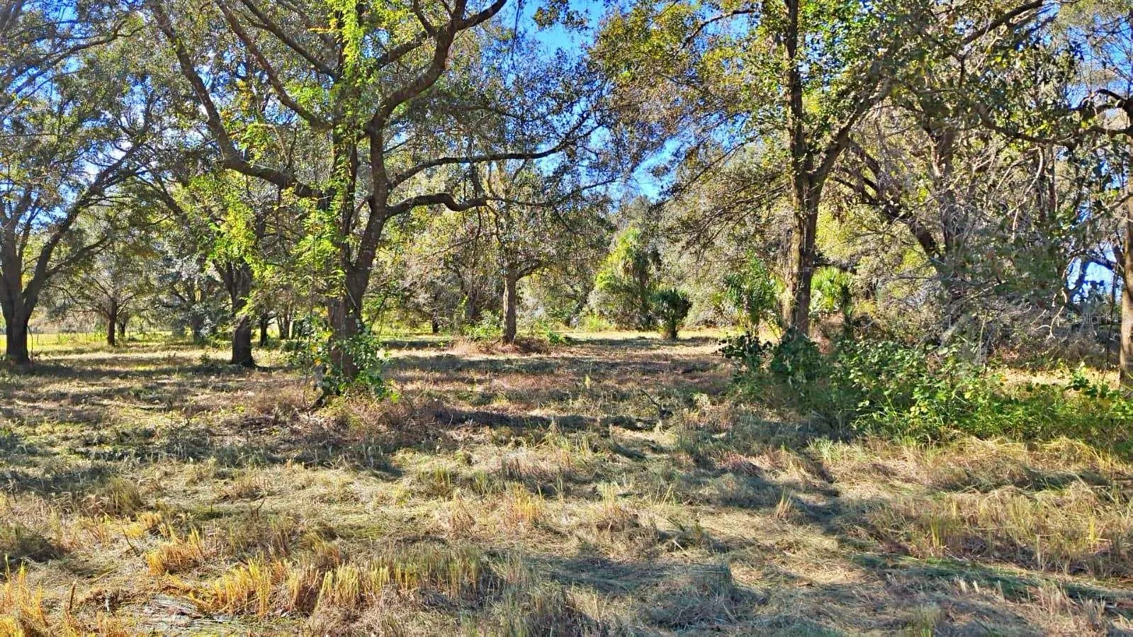 CONROY LN