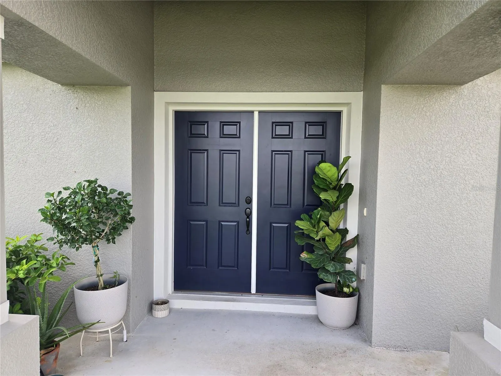 809 LIAM LN