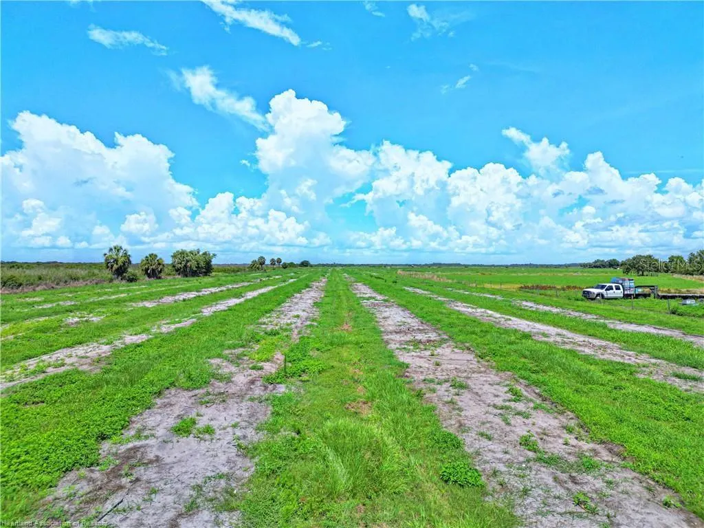 8495 COUNTY ROAD 621