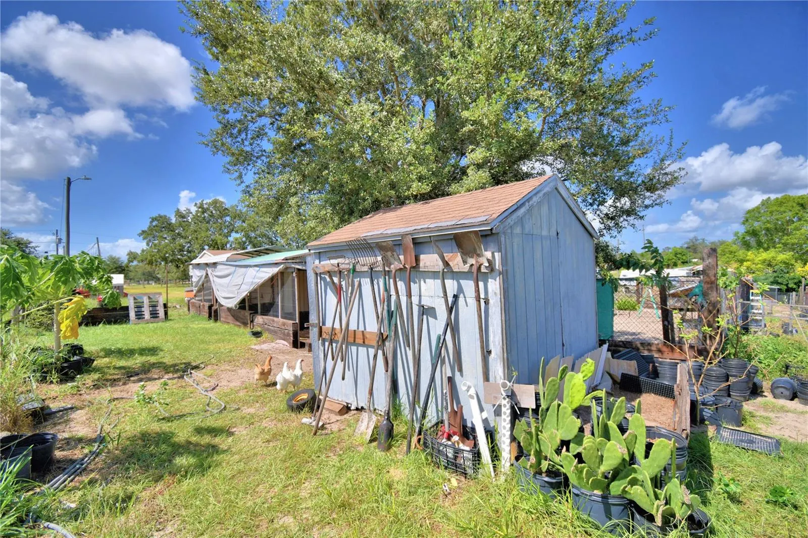 715 FAZZINI RD