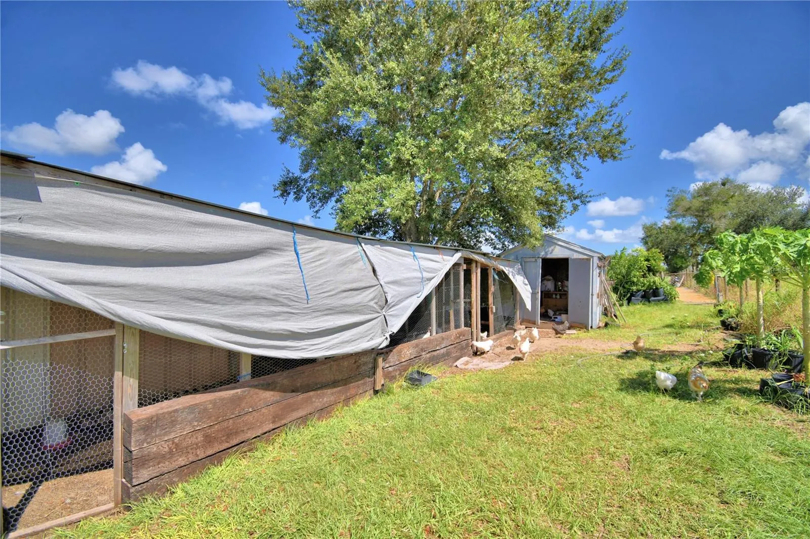 715 FAZZINI RD