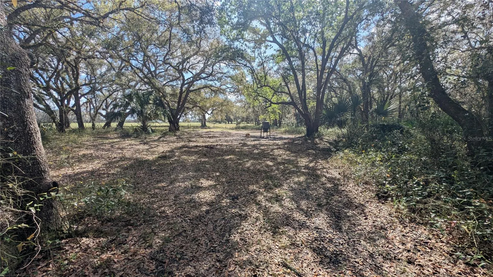 GILLETTE RD