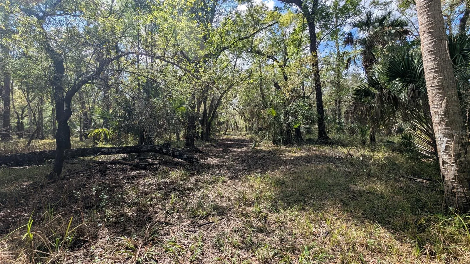GILLETTE RD