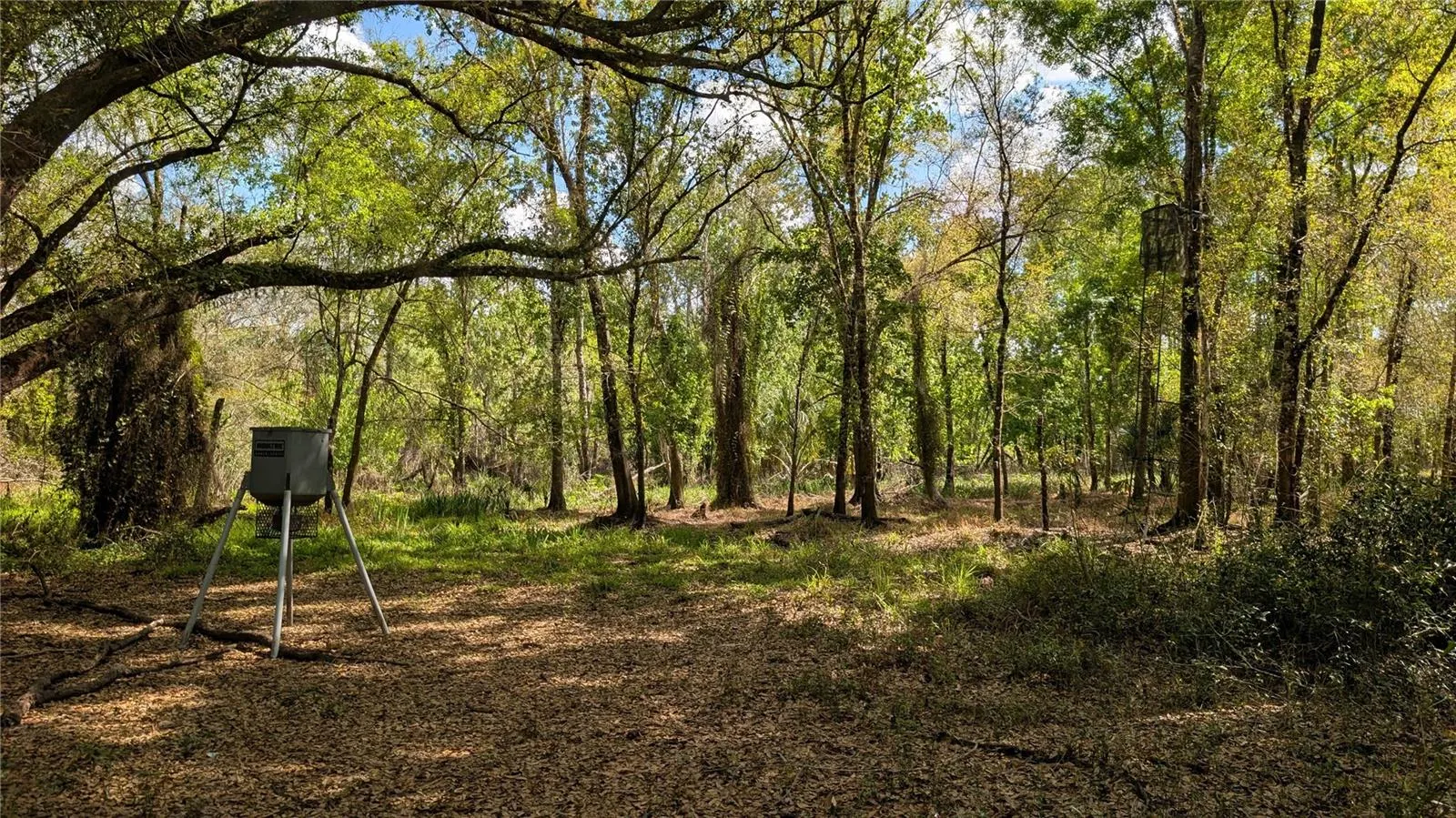 GILLETTE RD