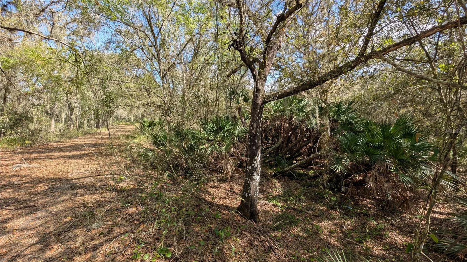 GILLETTE RD