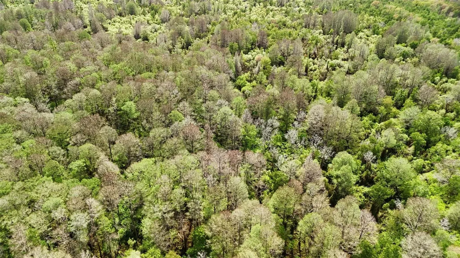 GILLETTE RD
