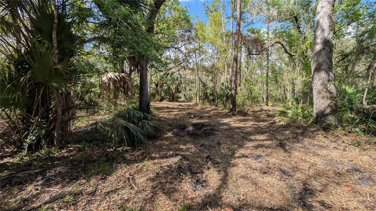 GILLETTE RD