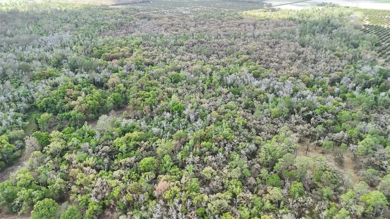 GILLETTE RD