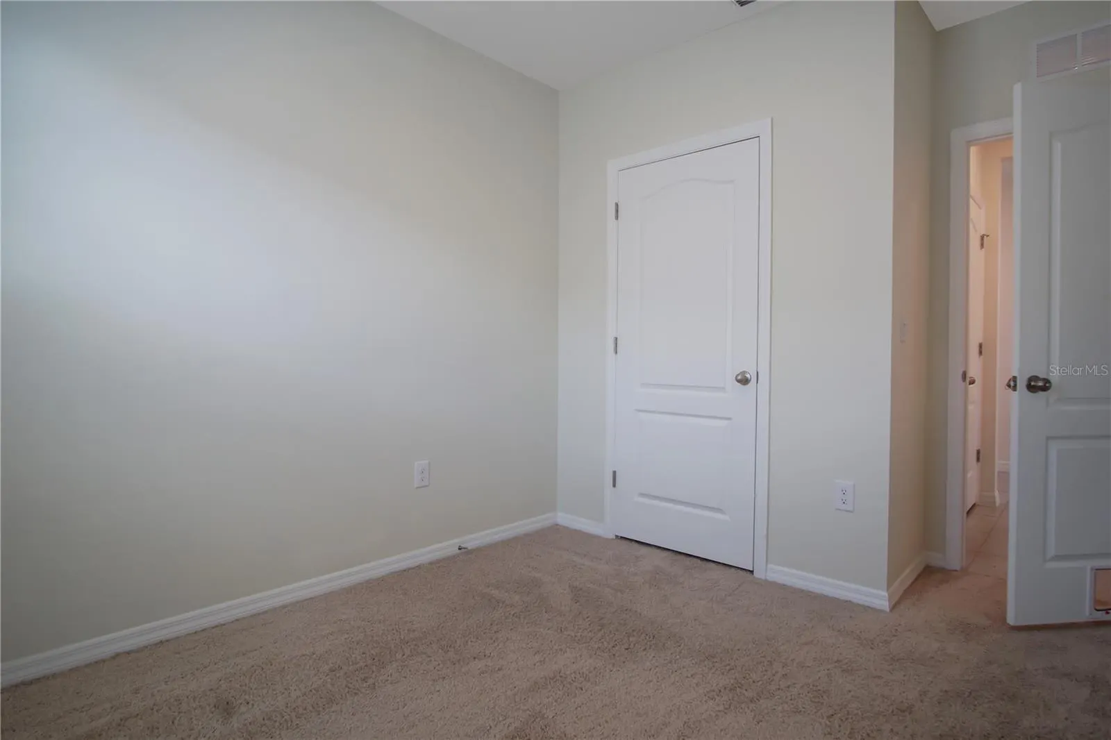 409 CORSO LOOP