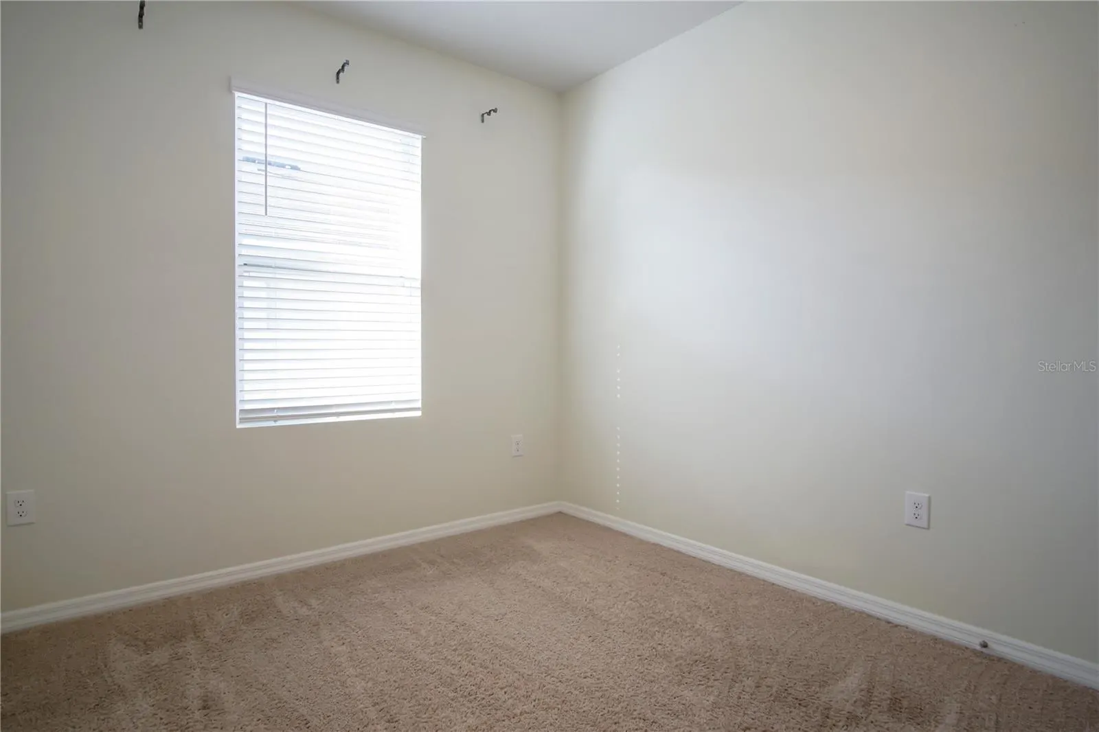 409 CORSO LOOP