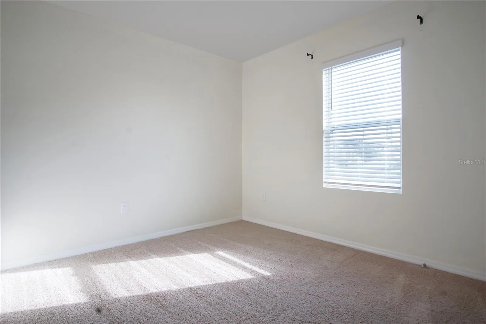 409 CORSO LOOP