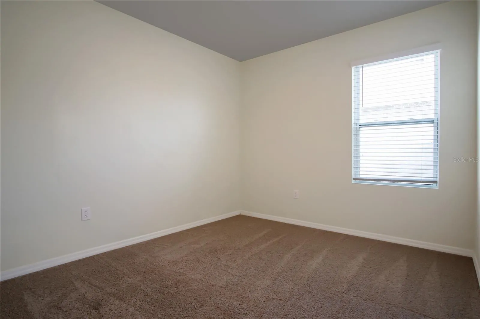 409 CORSO LOOP