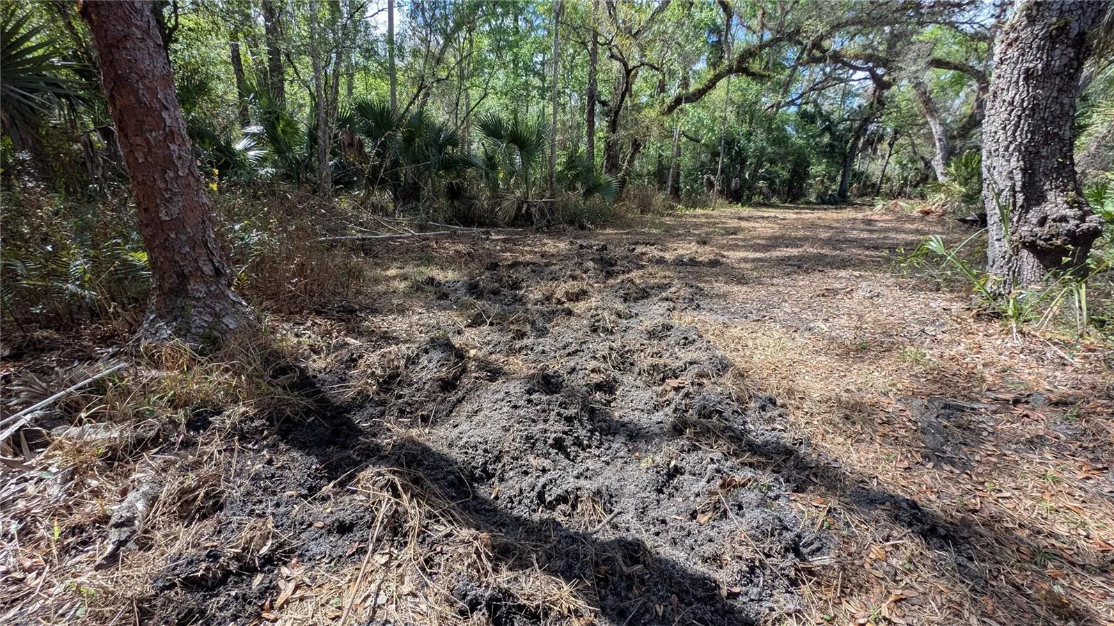 GILLETTE RD