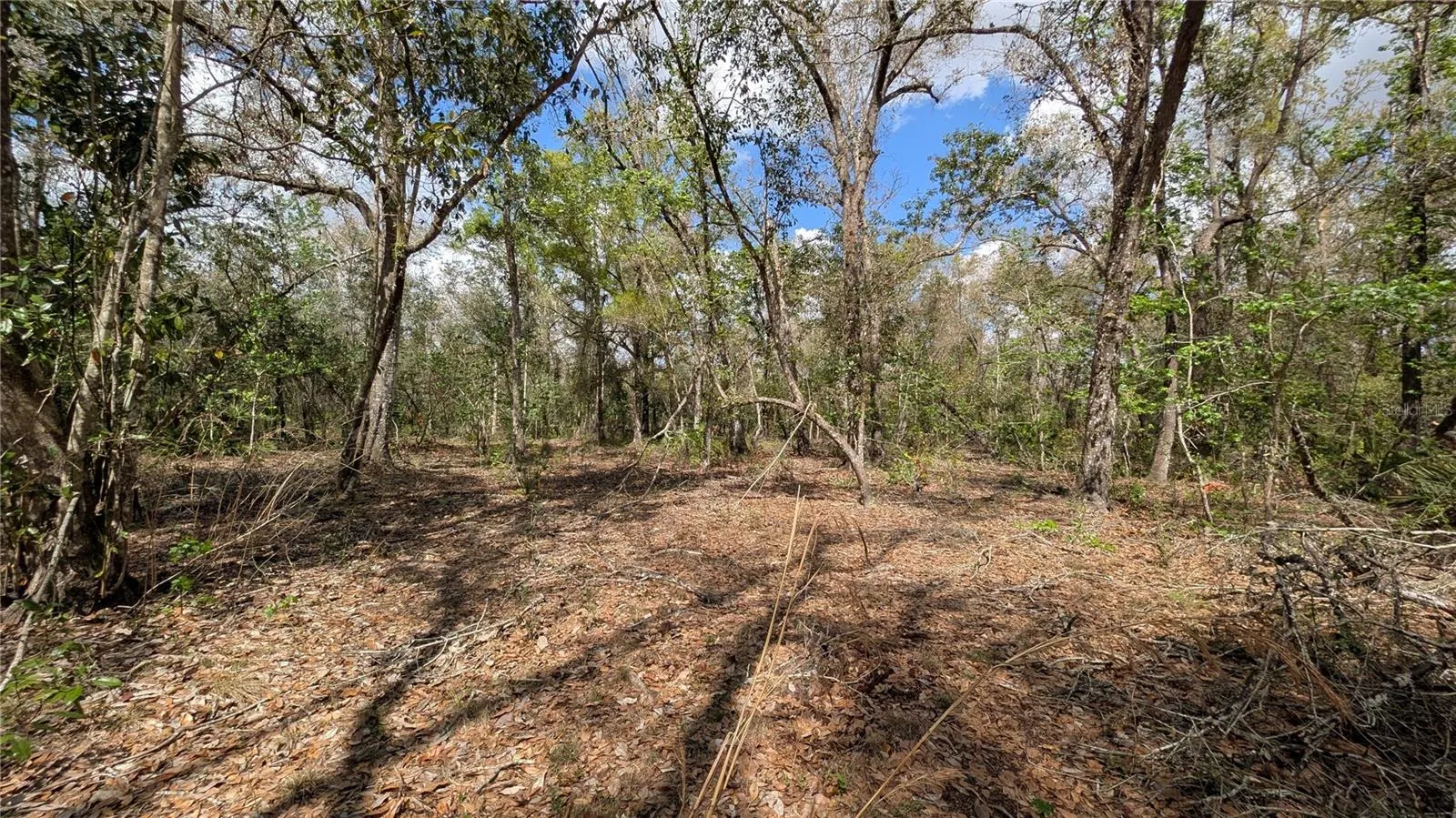 GILLETTE RD