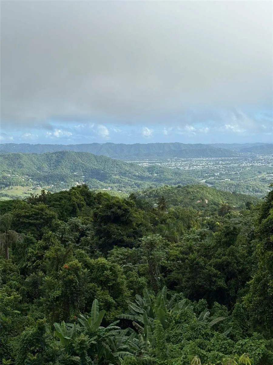 PR 763 PR 763
