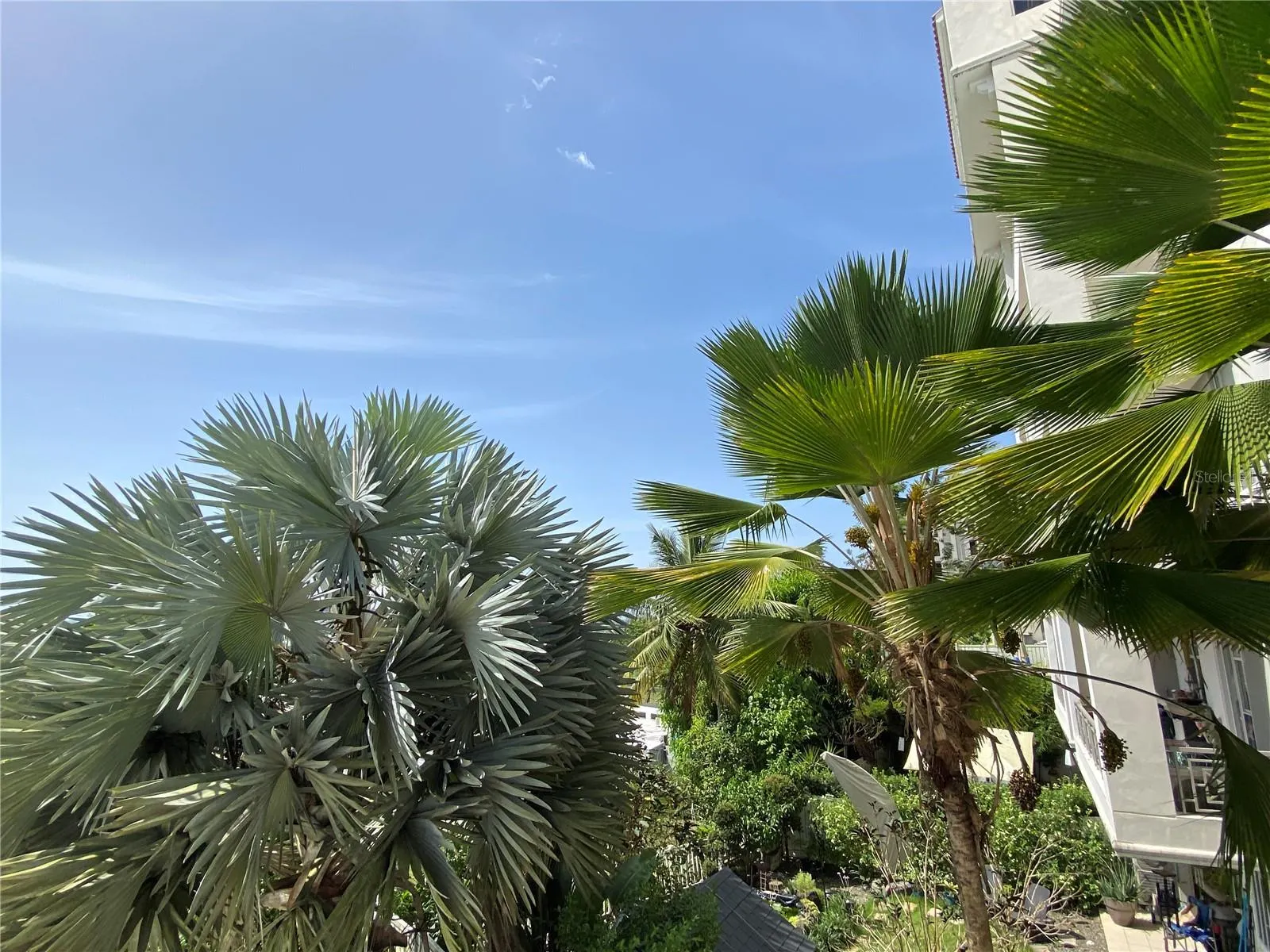270 Ave San Ignacio RIDGETOP LUXURY #L505, #L505