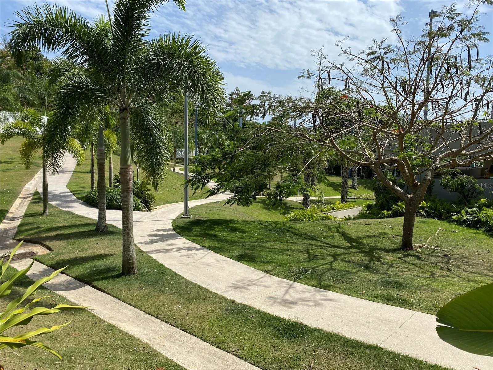 270 Ave San Ignacio RIDGETOP LUXURY #L505, #L505