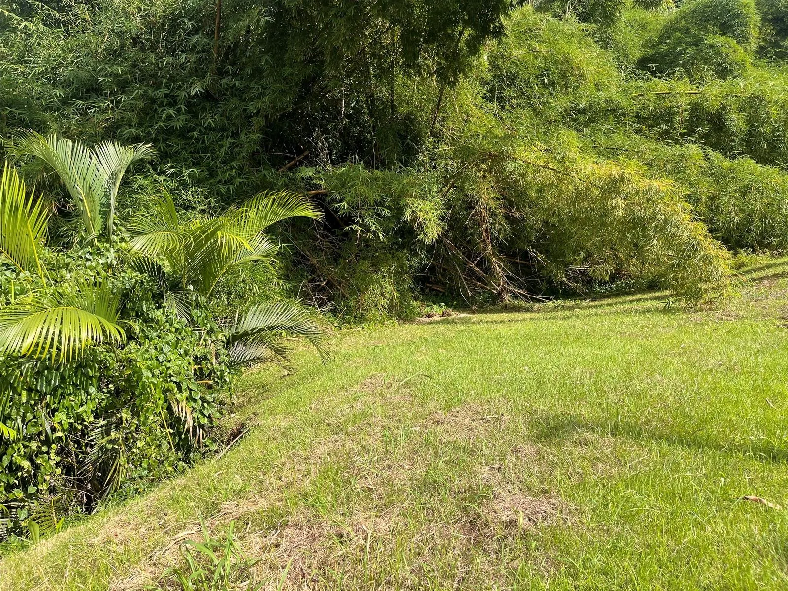 Sector Pepe Hoyo BO. MONTELLANO
