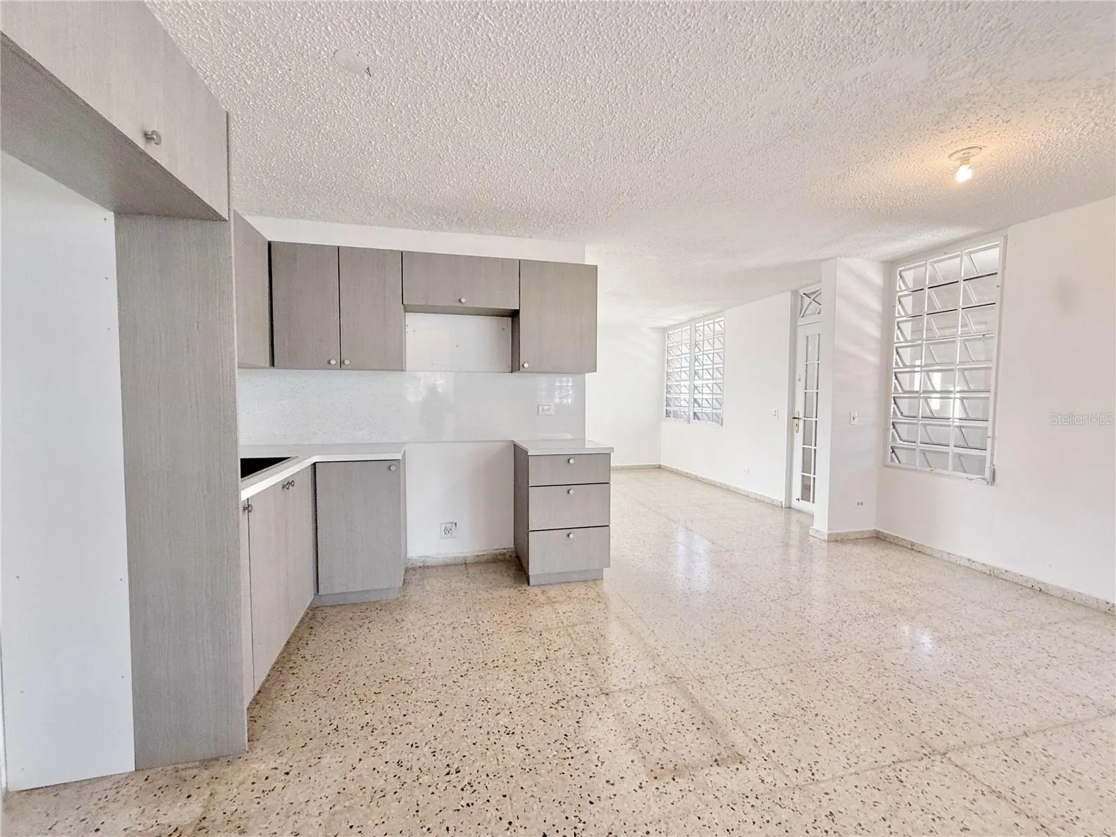 613 URB. VILLA CAROLINA #241-4 #241-4