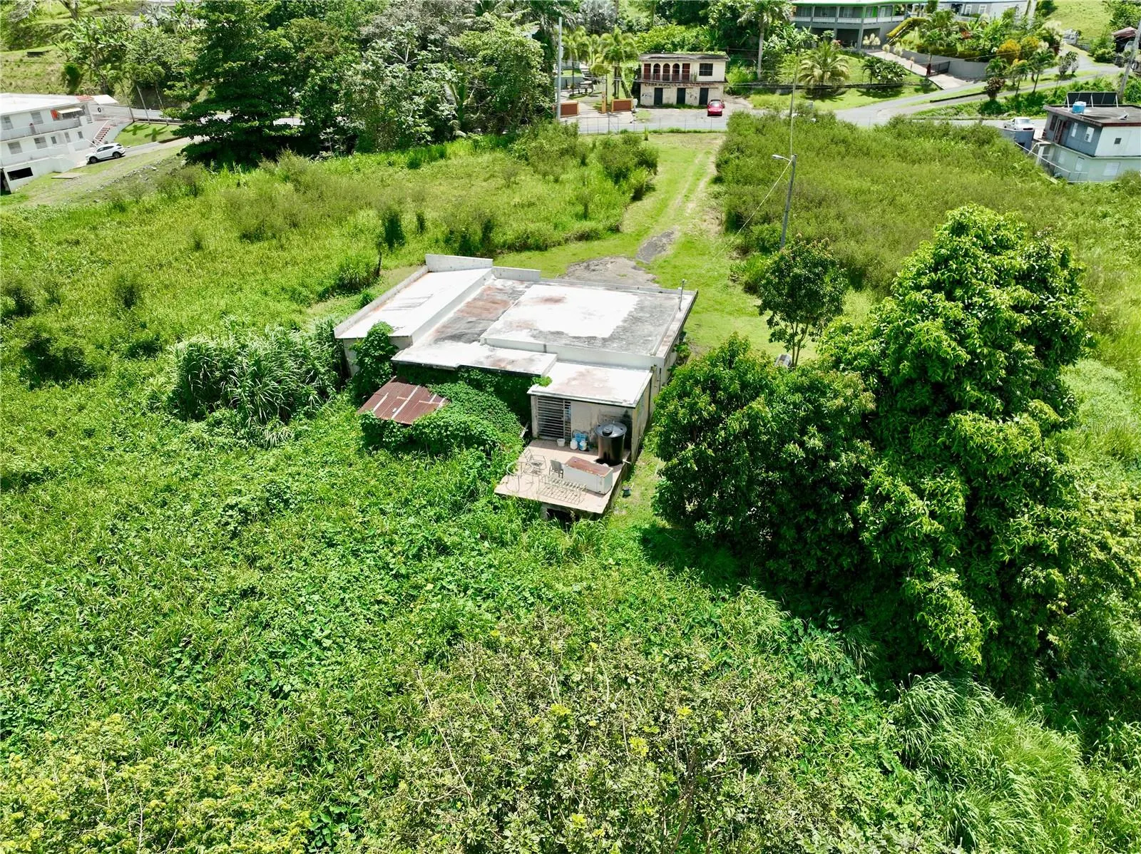 PR-181 BARRIO QUEBRADA HONDA