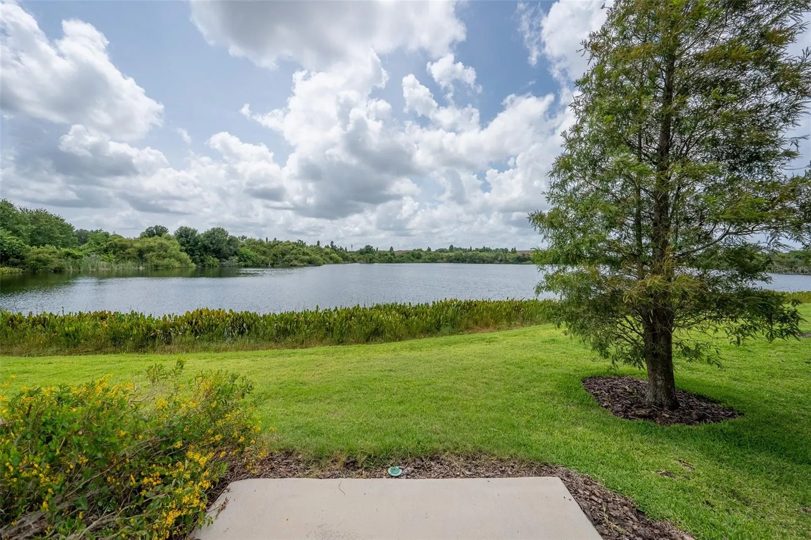 2425 LEXINGTON OAK DR