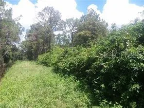 0 JONES RD