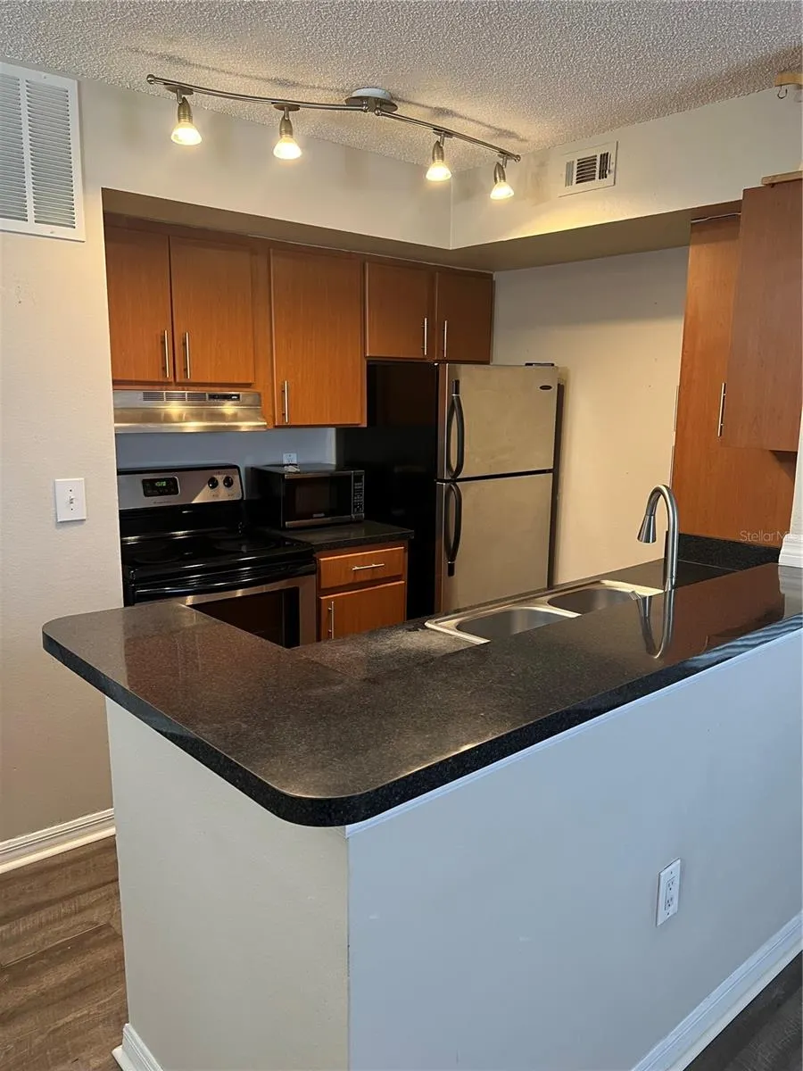 429 FOUNTAINHEAD CIR #221, #221