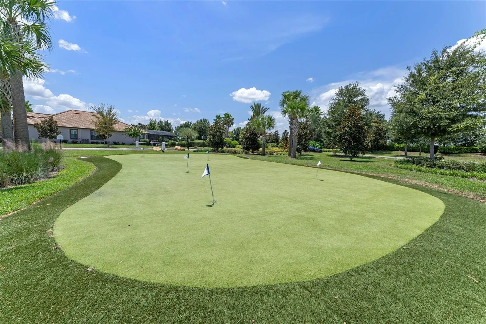 8879 BACKSPIN LN