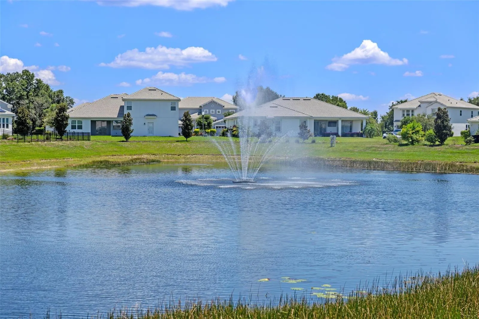 8879 BACKSPIN LN