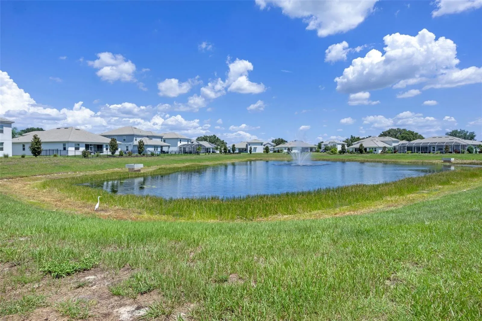 8879 BACKSPIN LN