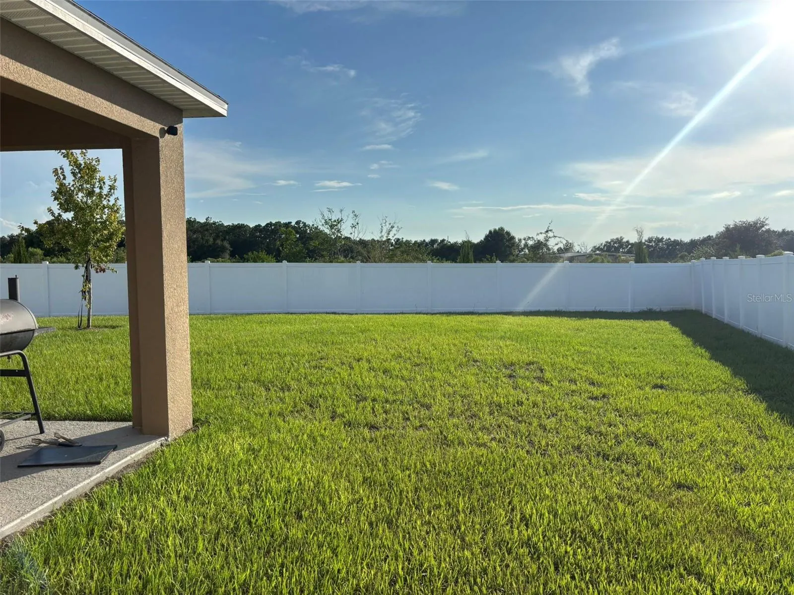 1349 DAISY FIELD DR