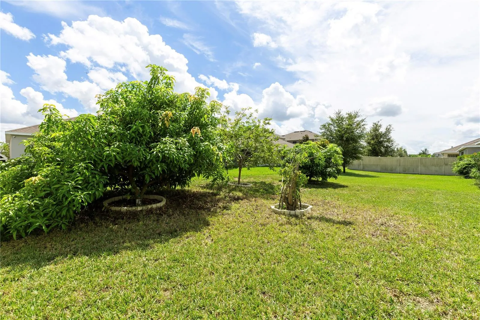 240 TRINITY RIDGE CIR